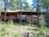 Horse Property in Sierra Bonita